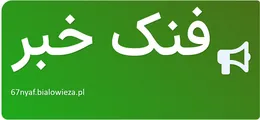 فنک خبر
